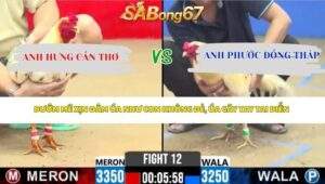 Trận 12 Bồ CPC2 25/4/2026