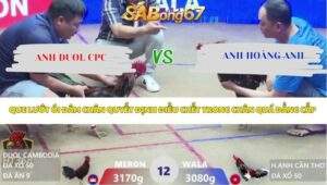 Trận 12 bồ Xà Xía 23/4/2026