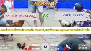 Trận 12 bồ Xà Xía 24/4/2026