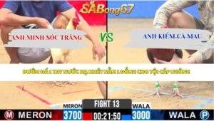 Trận 13 Bồ CPC2 24/4/2026