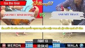 Trận 13 Bồ CPC2 25/4/2026