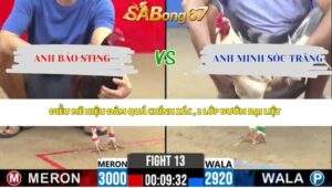 Trận 13 bồ CPC2 29/4/2026