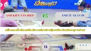 Trận 13 bồ Xà Xía 15/4/2026