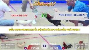 Trận 13 bồ Xà Xía 23/4/2026