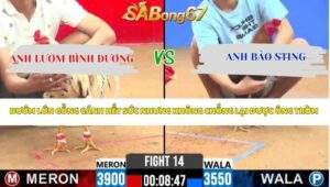 Trận 14 Bồ CPC2 17/4/2026