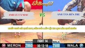 Trận 14 Bồ CPC2 20/4/2026