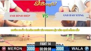 Trận 14 Bồ CPC2 22/4/2026