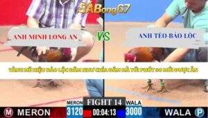 Trận 14 bồ CPC3 16/4/2026