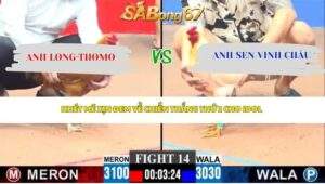 Trận 14 bồ CPC3 19/4/2026