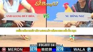 Trận 14 bồ CPC3 27/4/2026