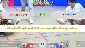 Trận 14 bồ Xà Xía 23/4/2026