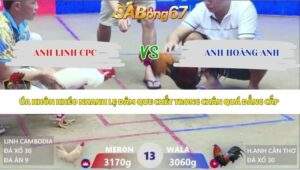 Trận 14 bồ Xà Xía 30/4/2026