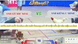 Trận 15 bồ Xà Xía 15/4/2026