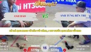 Trận 15 bồ Xà Xía 18/4/2026