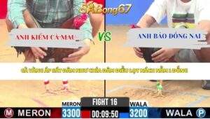 Trận 16 bồ CPC2 16/4/2026