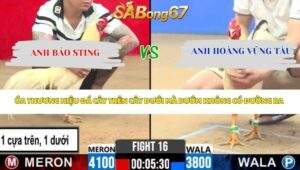 Trận 16 Bồ CPC2 24/4/2026