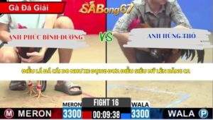 Trận 16 Bồ CPC2 25/4/2026