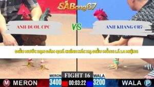 Trận 16 bồ CPC3 27/4/2026