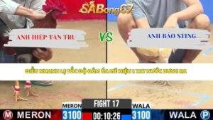 Trận 17 Bồ CPC2 24/4/2026