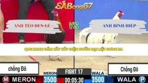 Trận 17 bồ CPC2 29/4/2026