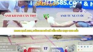 Trận 17 bồ Xà Xía 13/4/2026