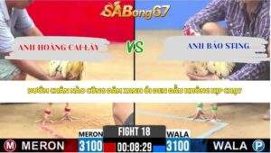 Trận 18 Bồ CPC2 22/4/2026