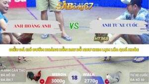 Trận 18 bồ Xà Xía 23/4/2026
