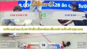 Trận 18 bồ Xà Xía 30/4/2026
