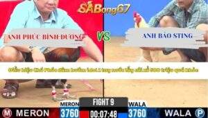 Trận 19 Bồ CPC2 17/3/2026