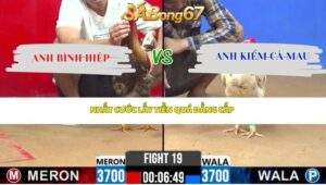 Trận 19 Bồ CPC2 17/4/2026