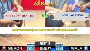 Trận 19 Bồ CPC2 24/4/2026