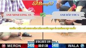 Trận 19 bồ CPC3 27/4/2026