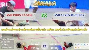 Trận 19 bồ Xà Xía 12/4/2026