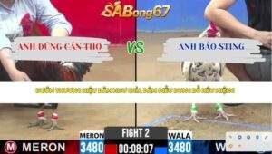 Trận 2 bồ CPC2 10/4/2026