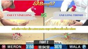 Trận 2 bồ CPC2 28/4/2026