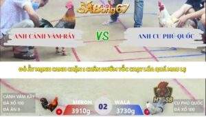 Trận 2 bồ Xà Xía 26/4/2026