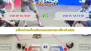 Trận 2 bồ Xà Xía 29/4/2026