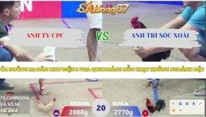 Trận 20 bồ Xà Xía 12/4/2026