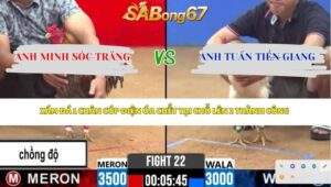 Trận 22 bồ CPC2 15/4/2026