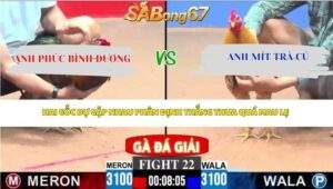 Trận 22 bồ CPC3 19/4/2026