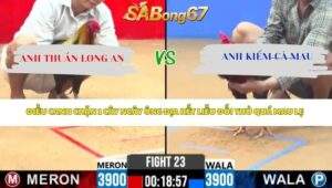 Trận 23 Bồ CPC2 18/4/2026