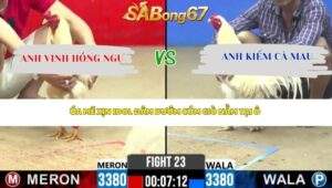 Trận 23 Bồ CPC2 25/4/2026