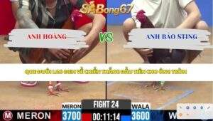 Trận 24 bồ CPC2 15/4/2026