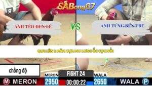 Trận 24 Bồ CPC2 24/4/2026