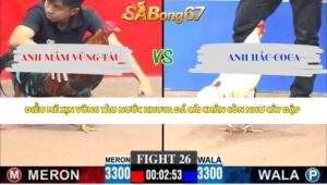 Trận 26 bồ CPC3 27/4/2026