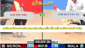 Trận 28 bồ CPC3 23/4/2026