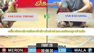 Trận 29 Bồ CPC2 24/4/2026