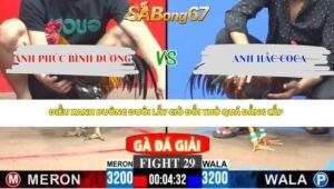 Trận 29 bồ CPC3 27/4/2026