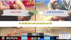 Trận 3 bồ CPC2 10/4/2026