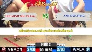 Trận 3 Bồ CPC2 22/4/2026